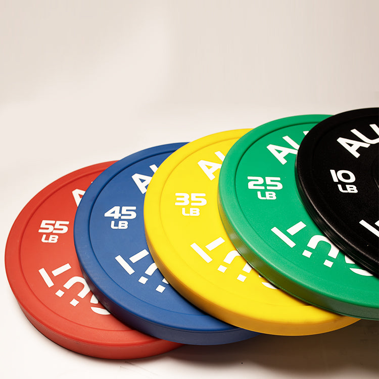 Urethane Bumper Plate (Used)