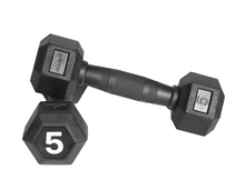 Load image into Gallery viewer, Hex Dumbbell (Black Handle) (Pair)
