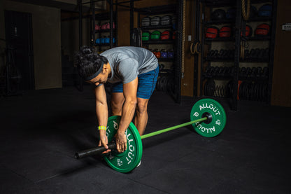 Urethane Bumper Plate (Used)