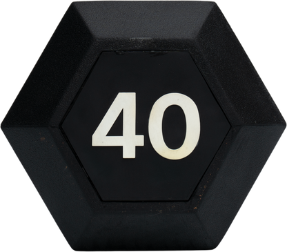 Hex Dumbbell (Black Handle) (Pair-Used)