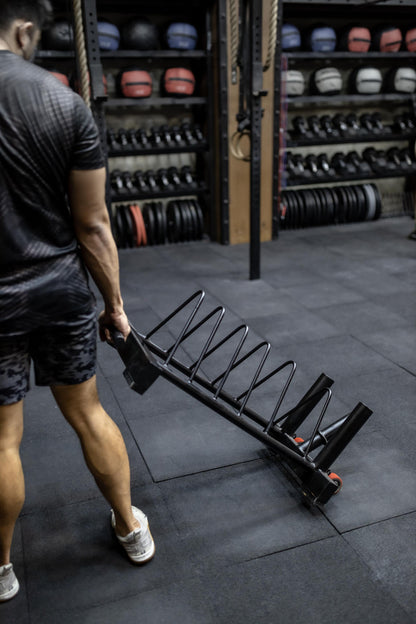 Weight Plate Rack